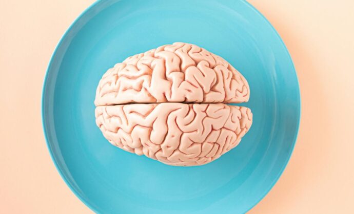 Un cervello in un piatto blu