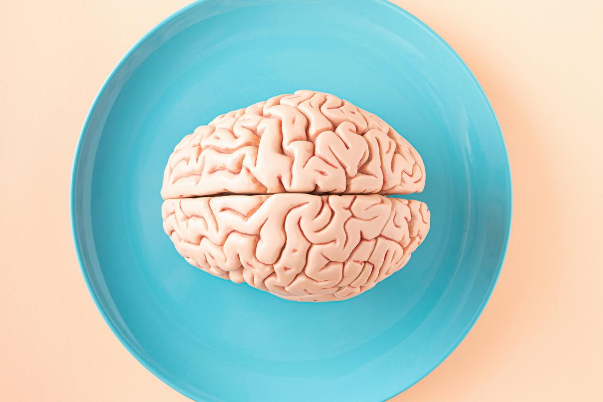 Un cervello in un piatto blu