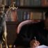 Giudice al lavoro sulla scrivania con statuetta della personificazione della Giustizia