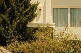 Finestra di una casa e un giardino
