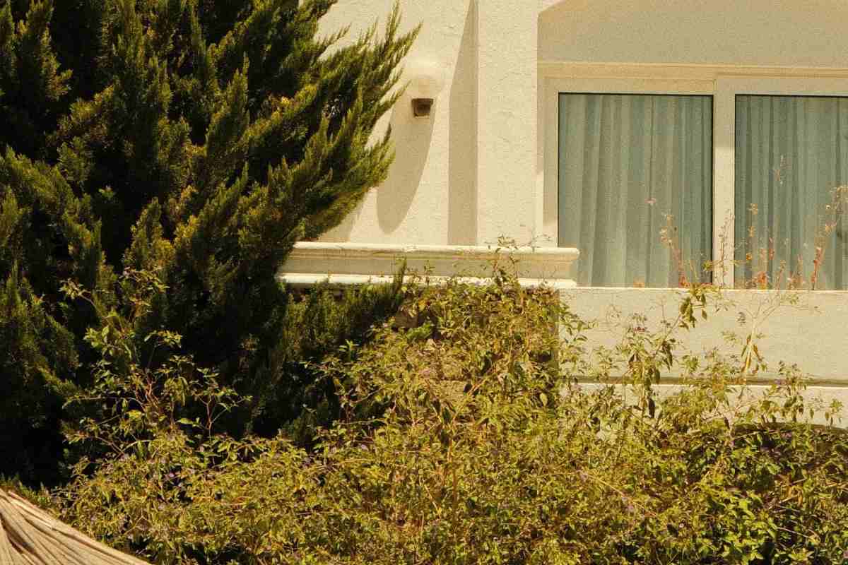 Finestra di una casa e un giardino